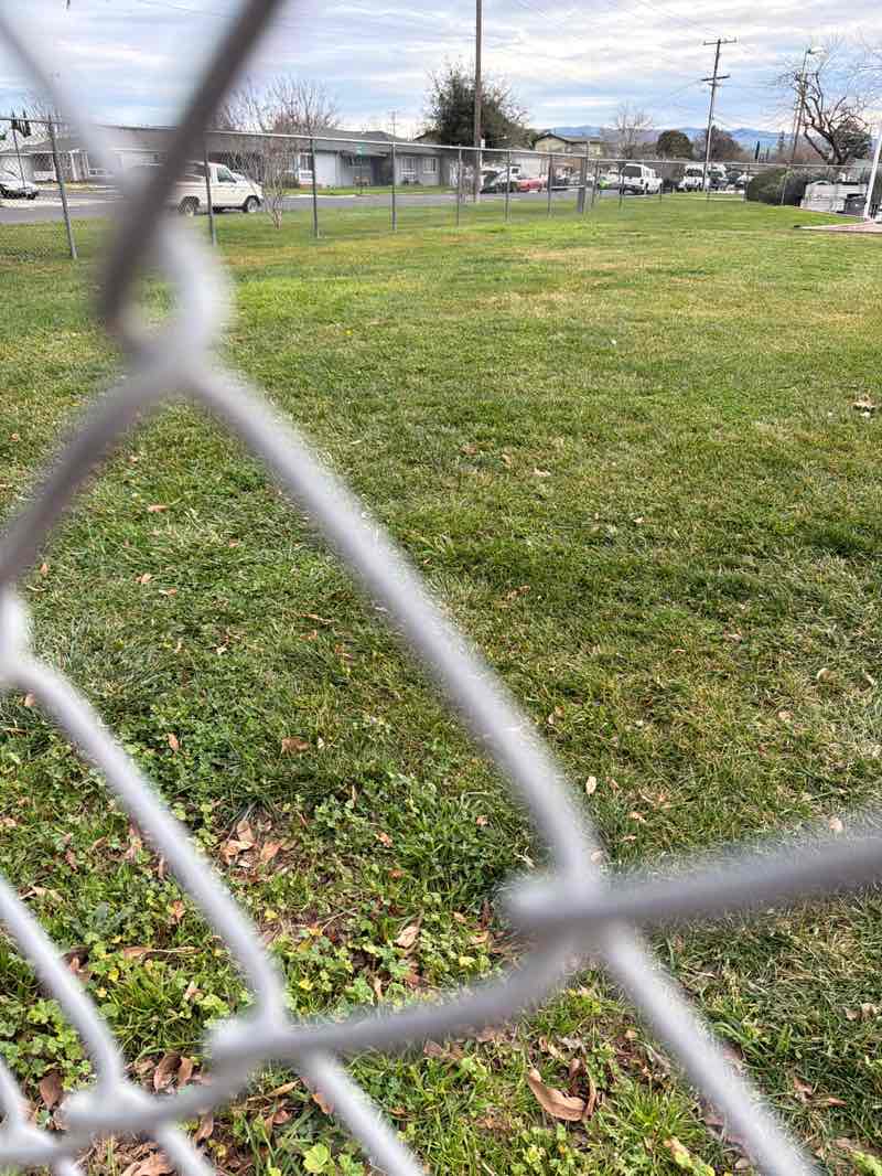 walking near me in May Nissen Park in winter