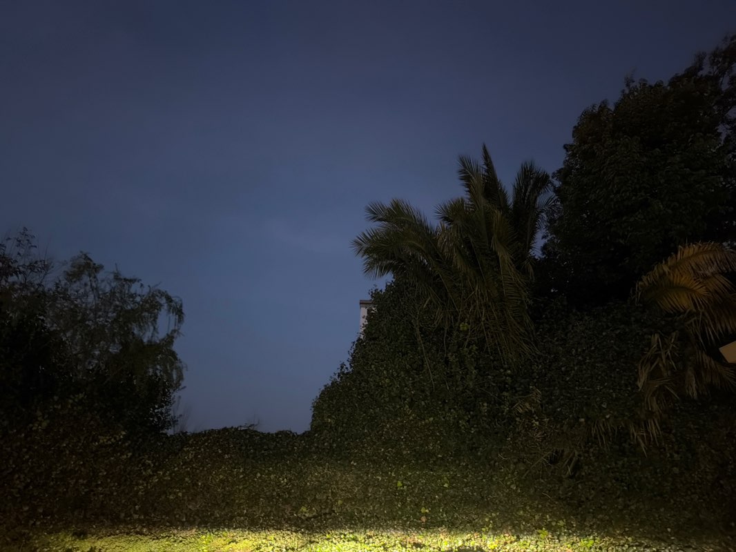 walking near me in Thornton Field in winter