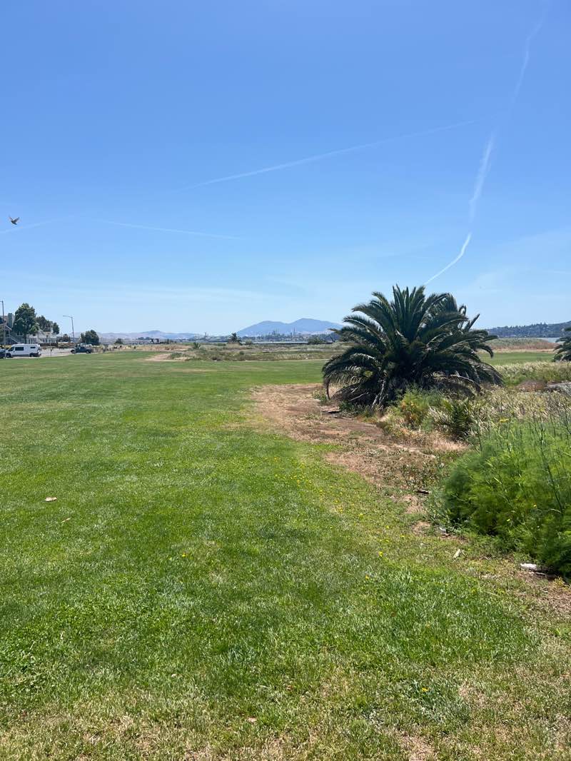 walking near me in First Street Green in summer