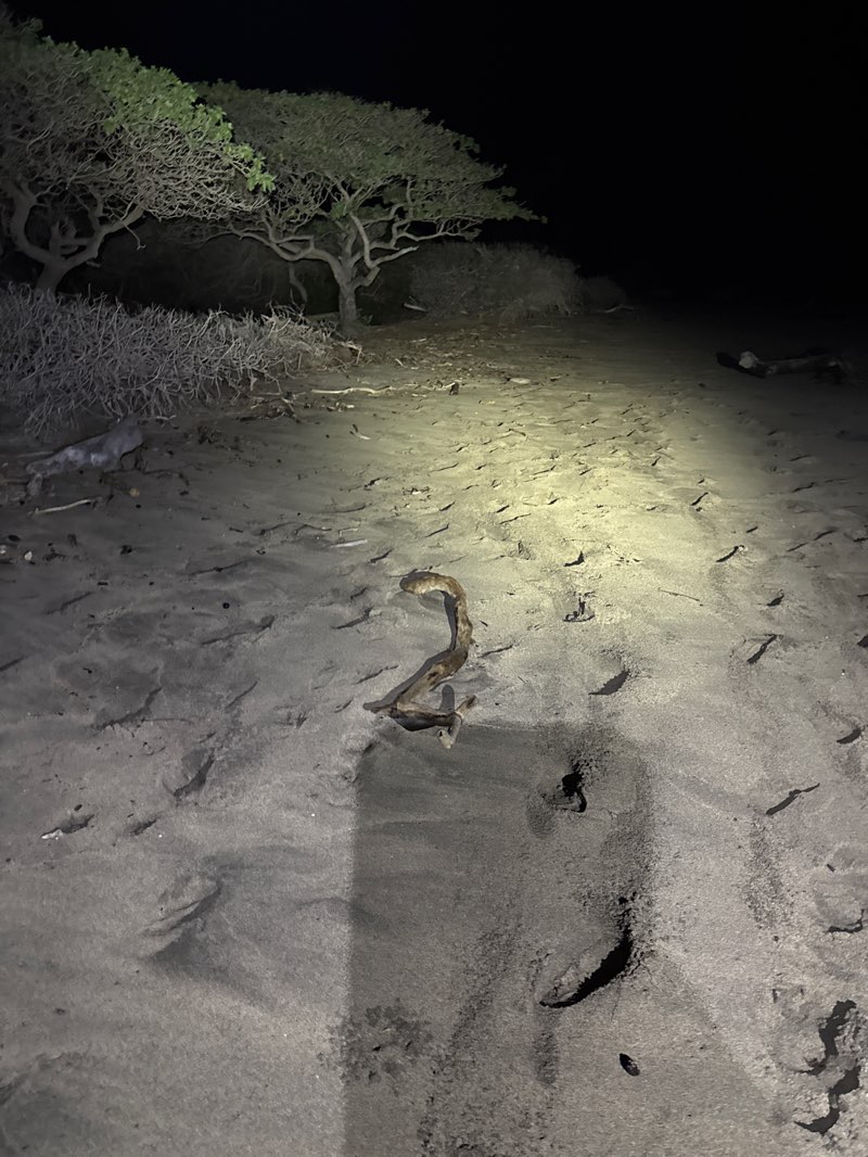 walking near me in Waiehu Beach Park in winter