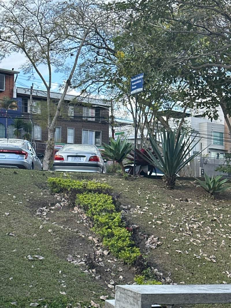 walking near me in Paseo Escultórico in winter