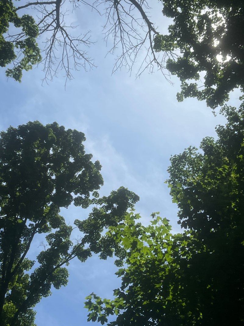 walking near me in Creve Coeur Lake Memorial Park in summer