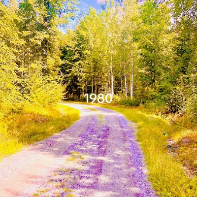 Морской писюн Chezoctr post image