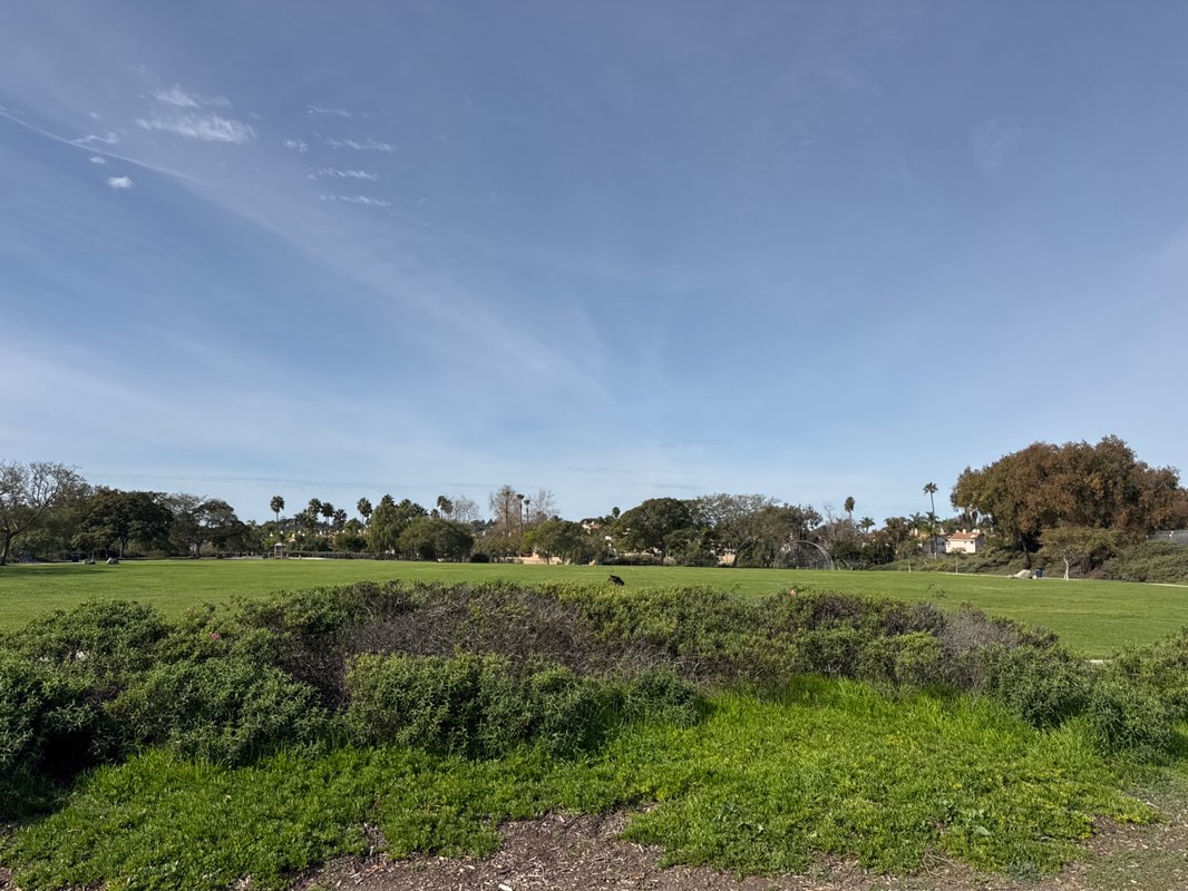 walking near me in Palisades Park in winter
