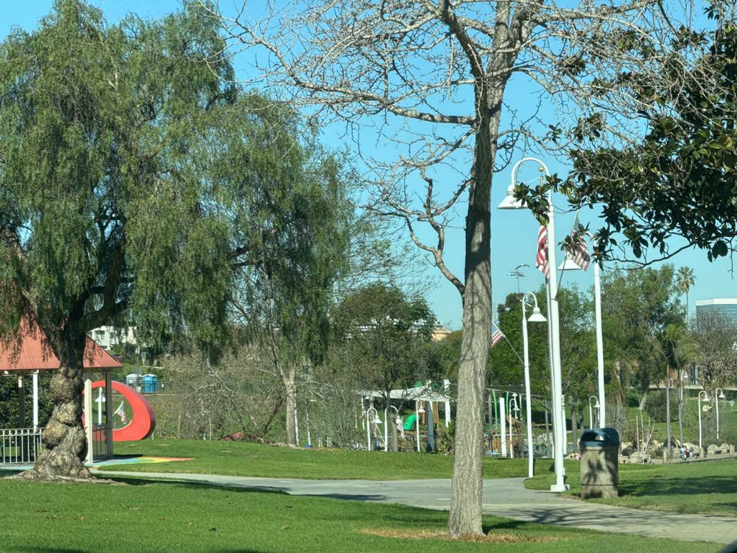 walking near me in Polliwog Park in winter