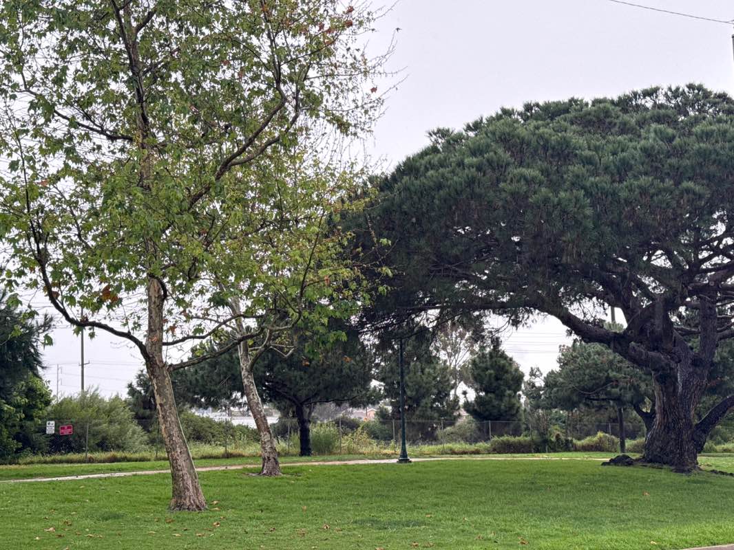 walking near me in Glasgow Park in winter