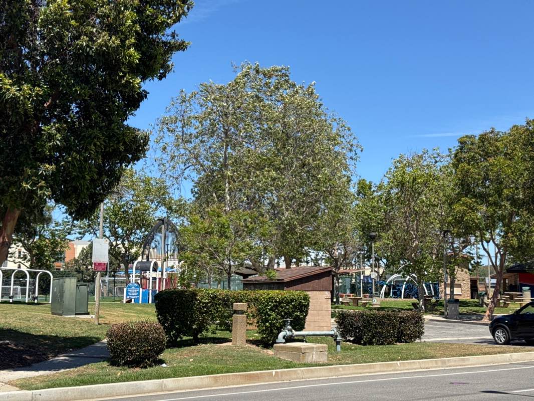 walking near me in Marine Avenue Park in spring