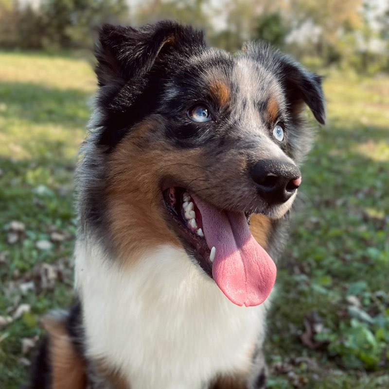 Sydney Hawley profile