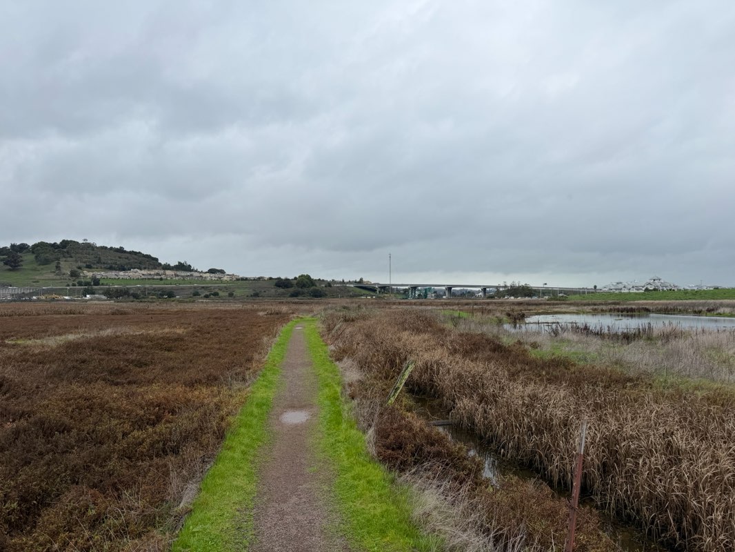walking near me in Shollenberger Park in winter