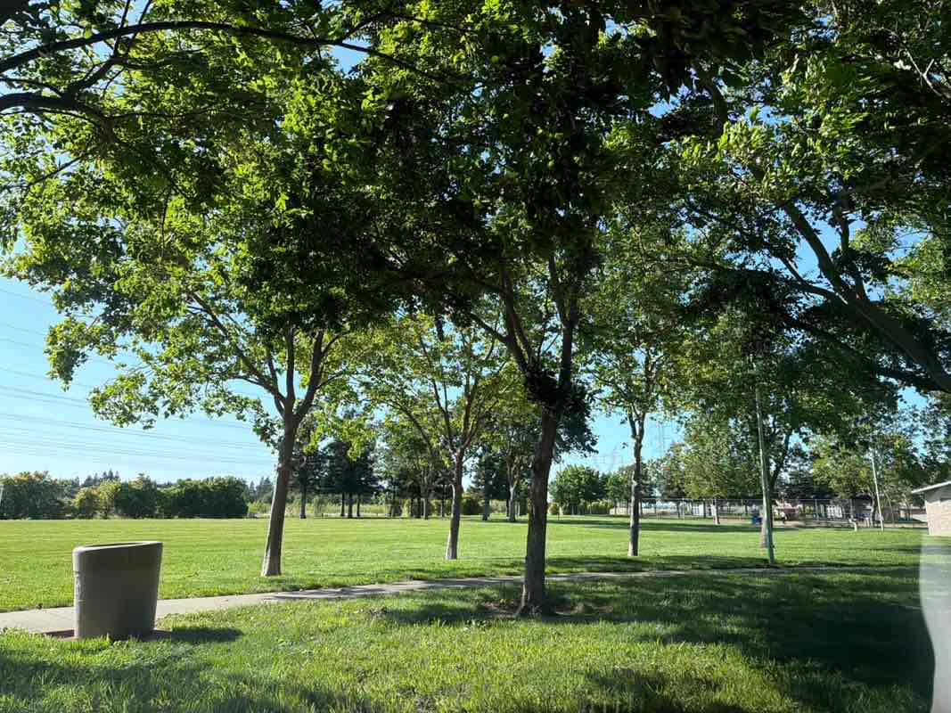walking near me in Jerry and Jeanne Strong Park in spring