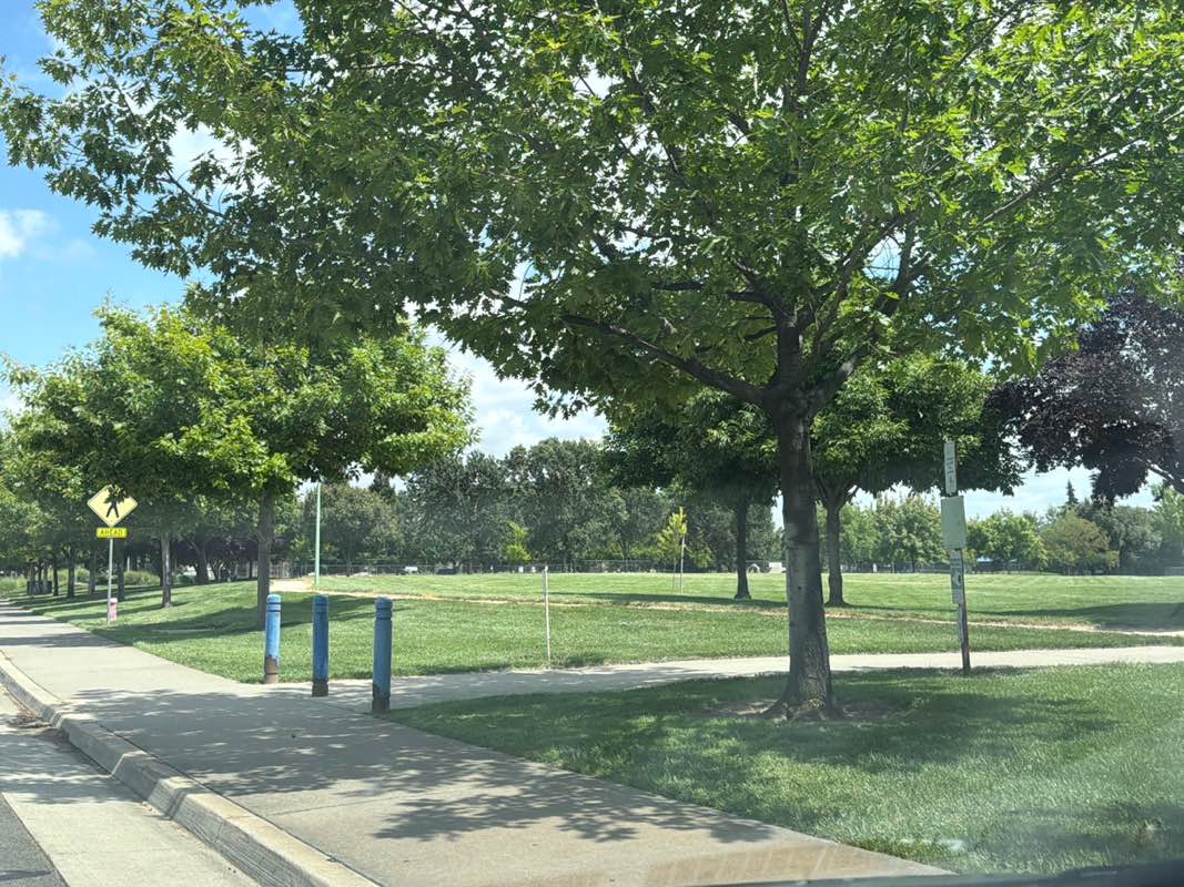 walking near me in Morse Park in summer