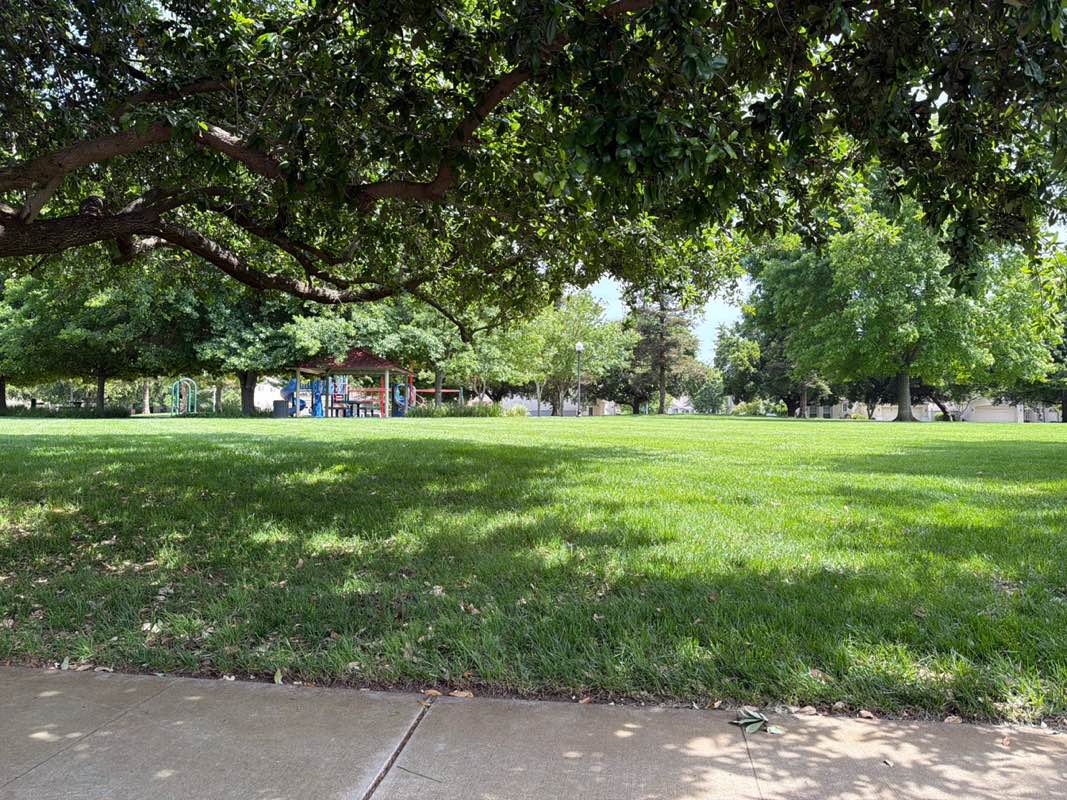 walking near me in King Park in spring
