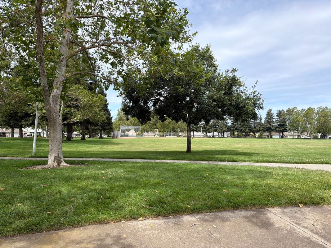 walking near me in Case Park in summer
