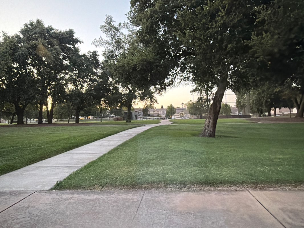 walking near me in Willard Park in summer