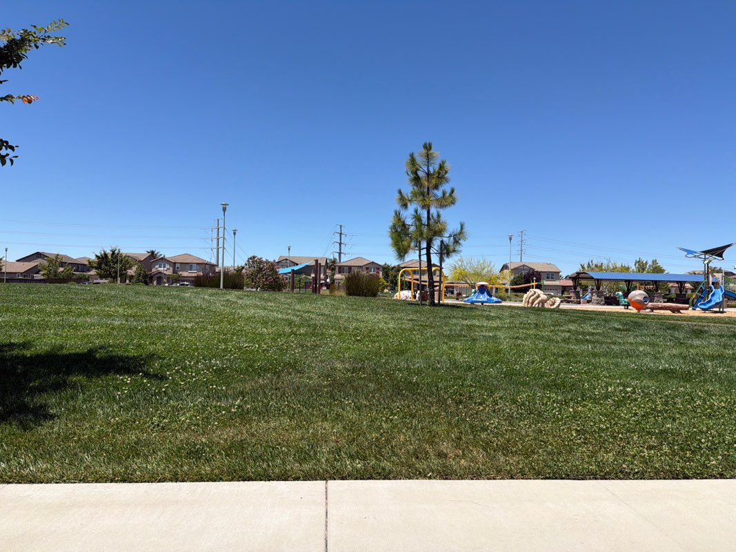 walking near me in George Park in summer