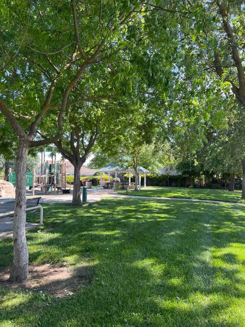 walking near me in Ehrhardt Oaks Park in spring
