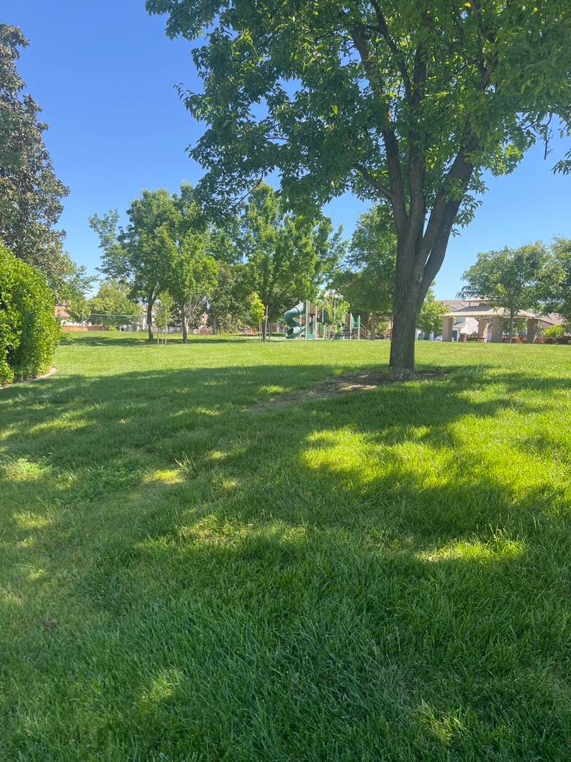 walking near me in Kramer Park in spring