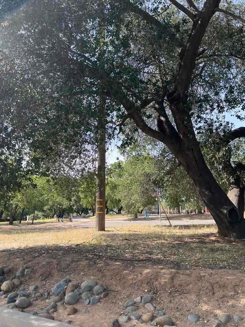 walking near me in Patriots Park in summer