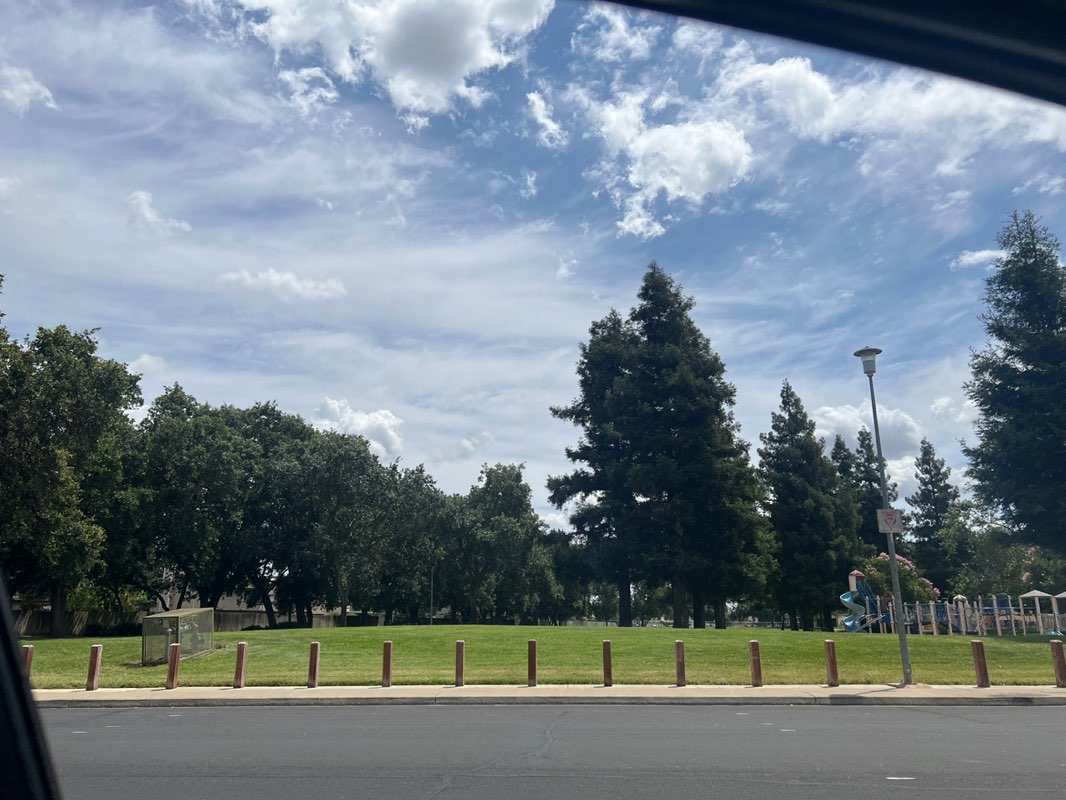 walking near me in Feickert Park in summer