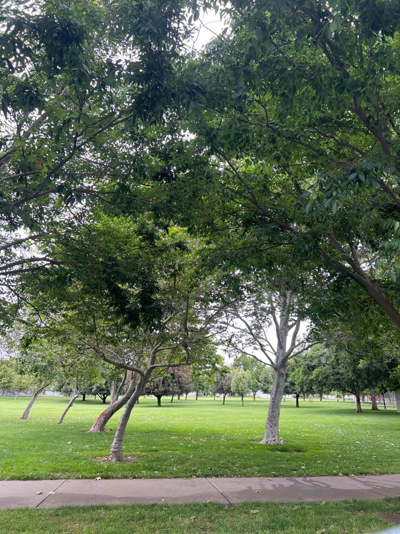 walking near me in Johnson Park in spring