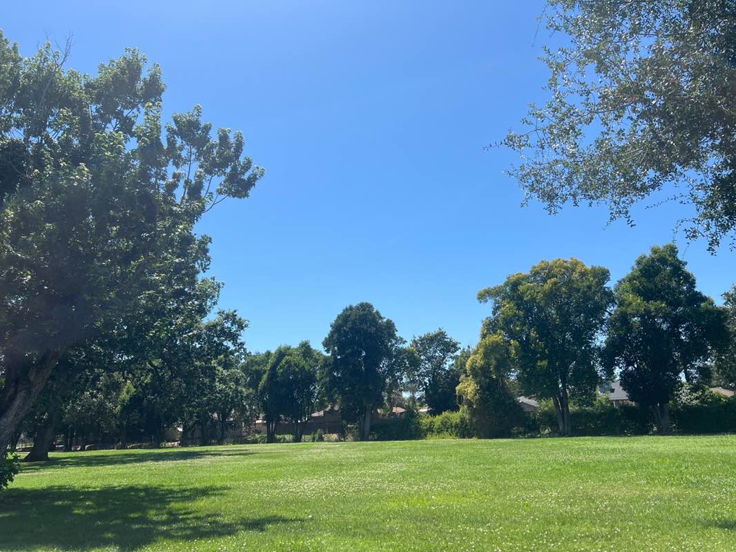walking near me in Federspiel Park in summer