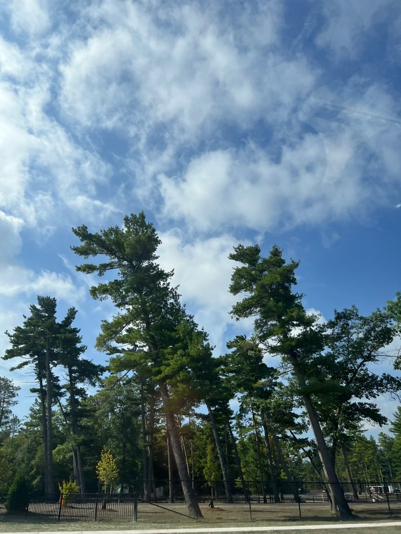 walking near me in Traverse City State Park in autumn
