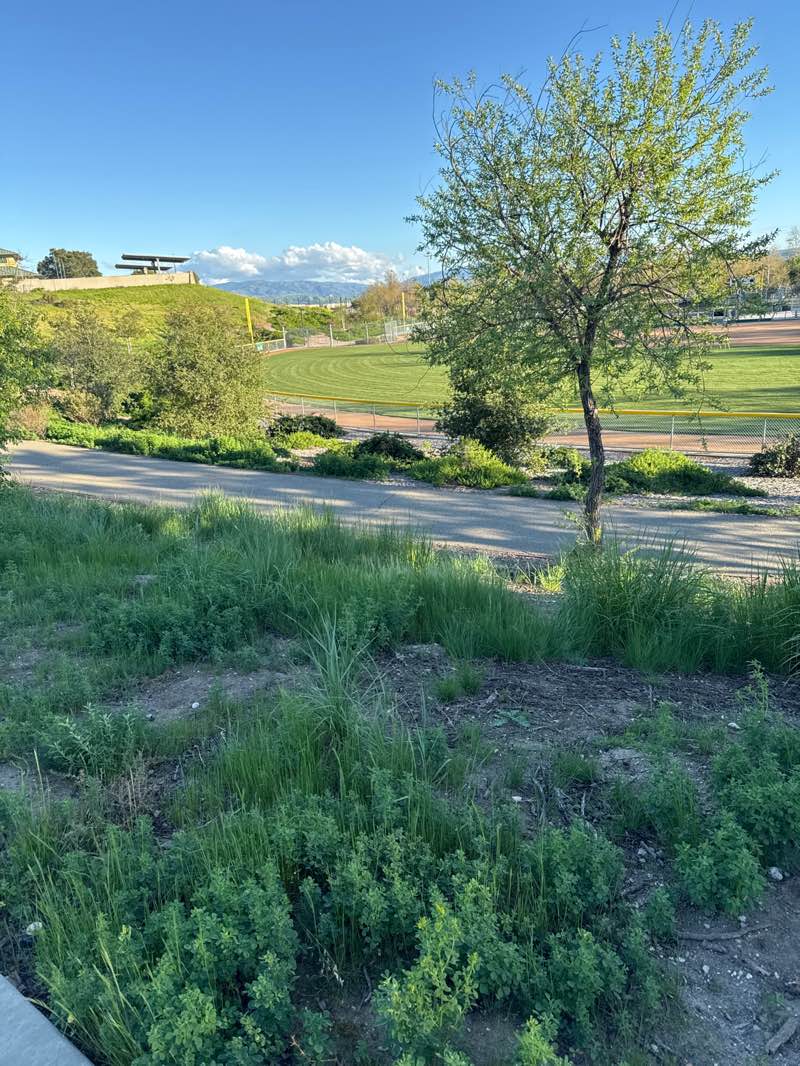 walking near me in Fallon Sports Park in spring