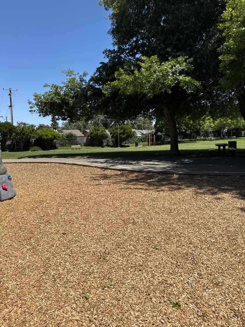 walking near me in Kolb Park in summer