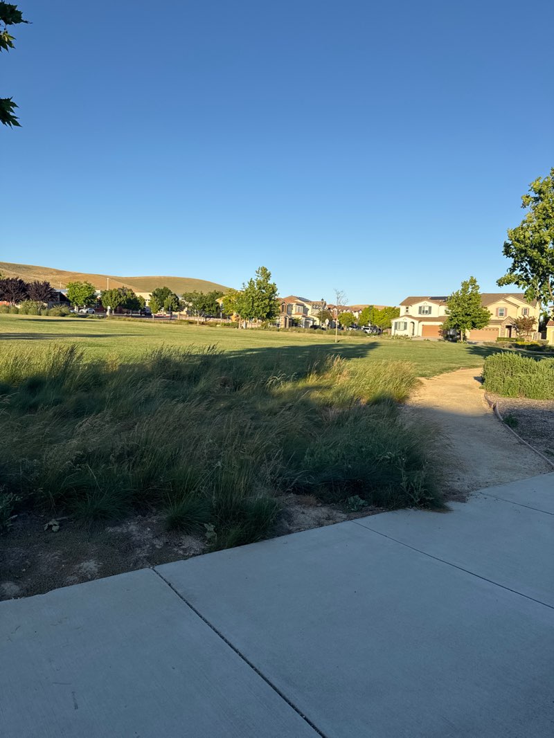 walking near me in Sean Diamond Park in summer