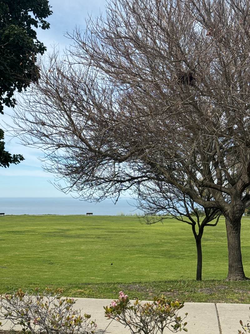 walking near me in Fred Hesse Jr. Community Park in winter