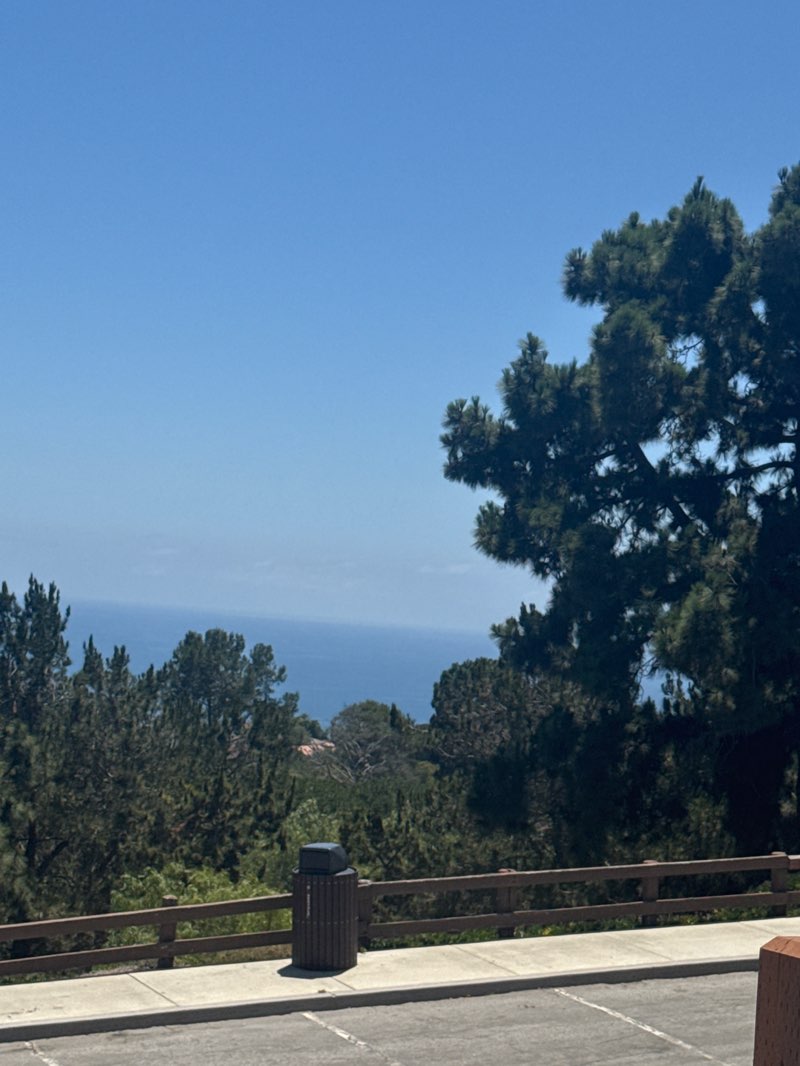 walking near me in Los Verdes Park in summer