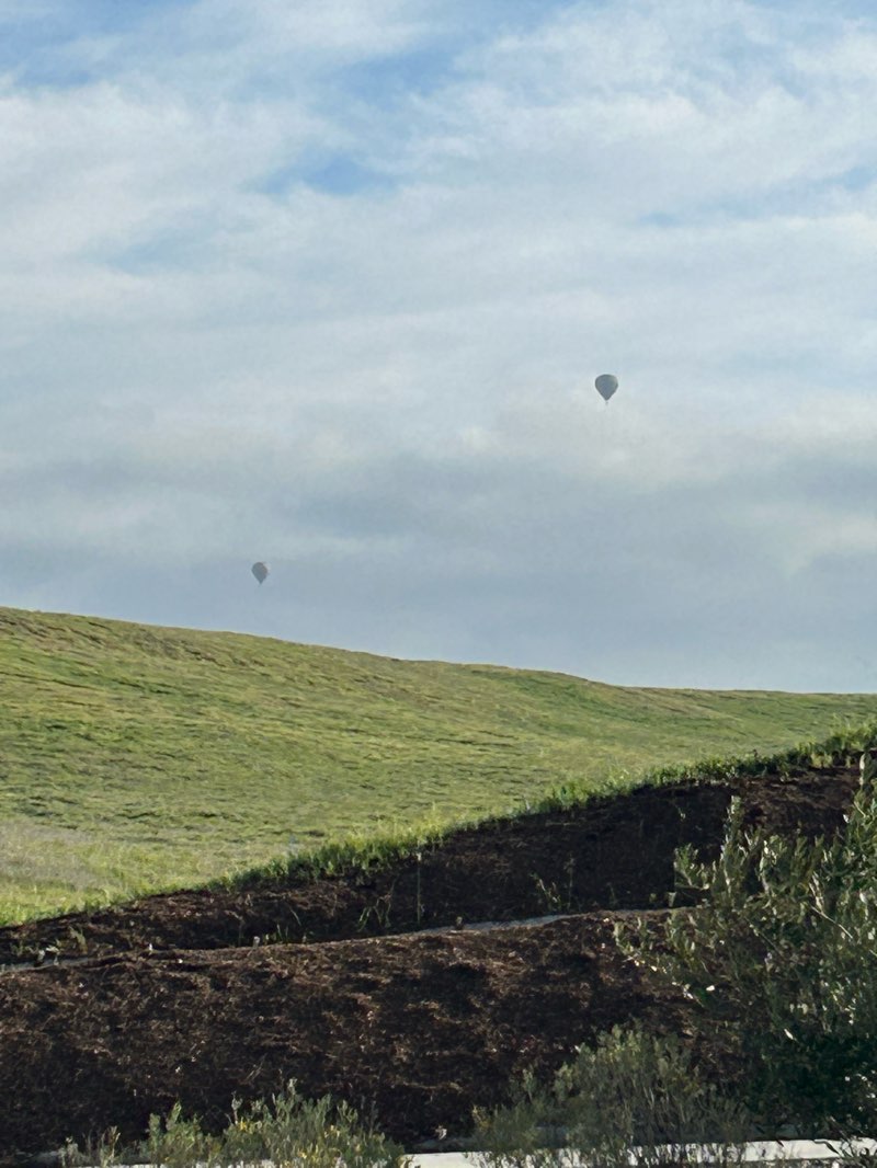 walking near me in Serena Hills Park in winter
