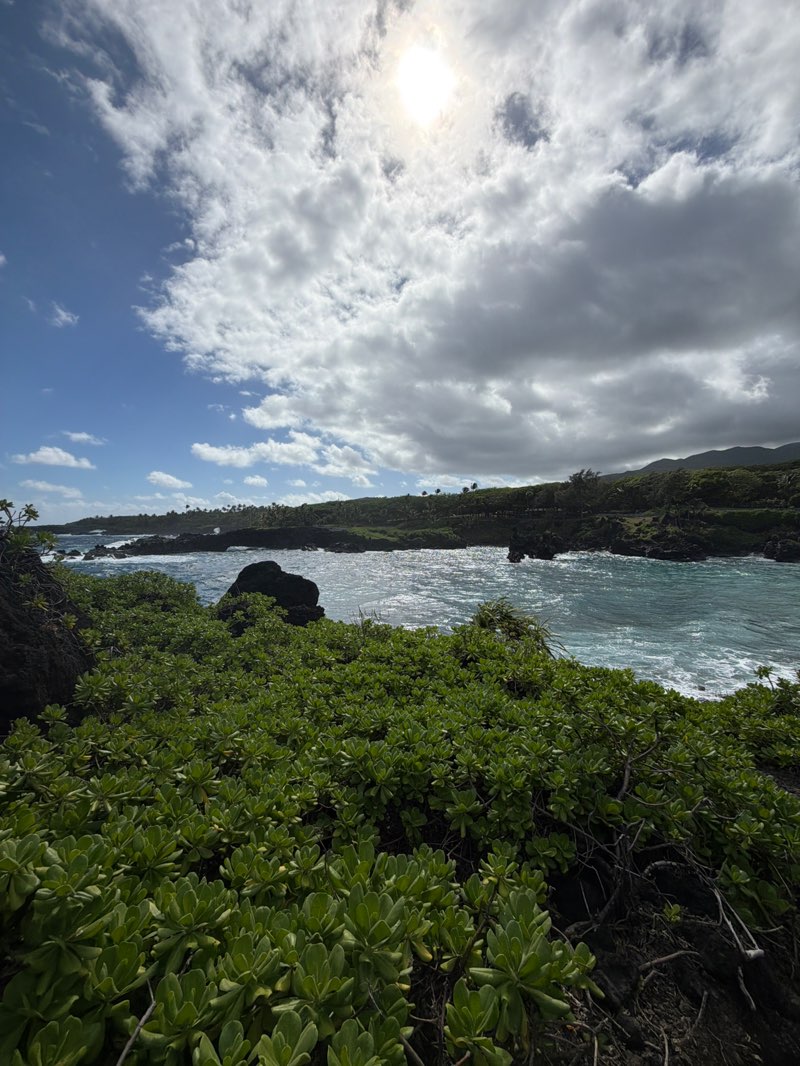 walking near me in Waiʻānapanapa State Park in winter