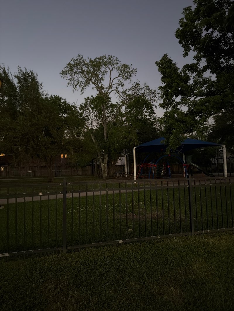 walking near me in Bellaire Park in spring