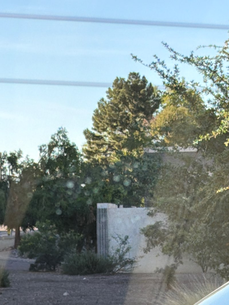 walking near me in Rio Salado Park in spring