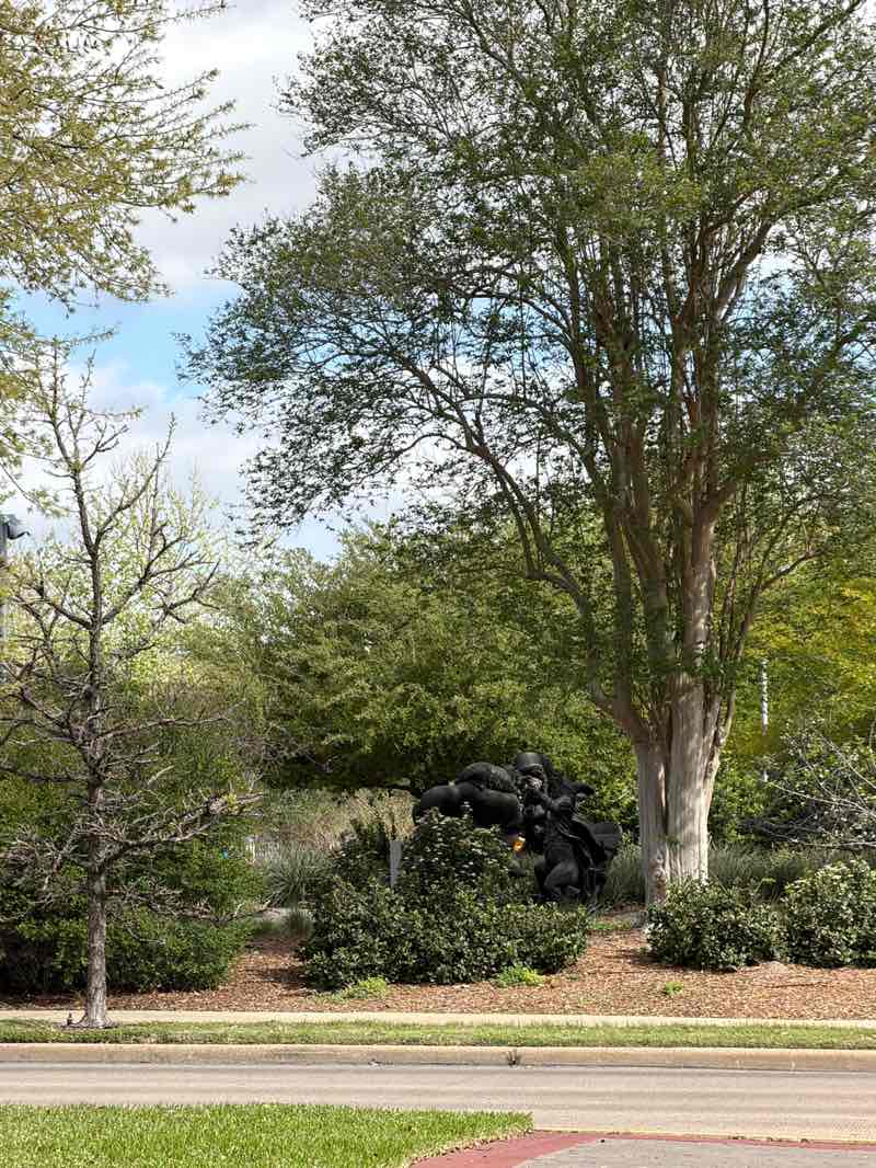 walking near me in Evelyn’s Park in spring