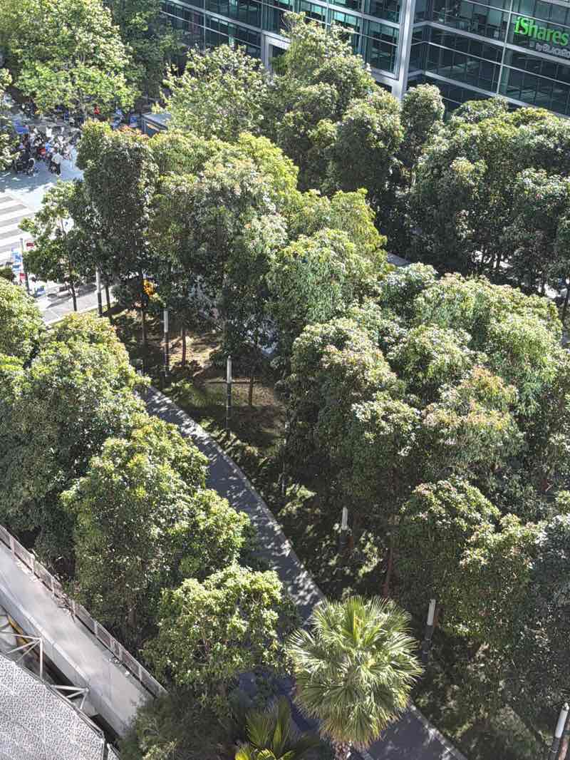 walking near me in Salesforce Park in spring