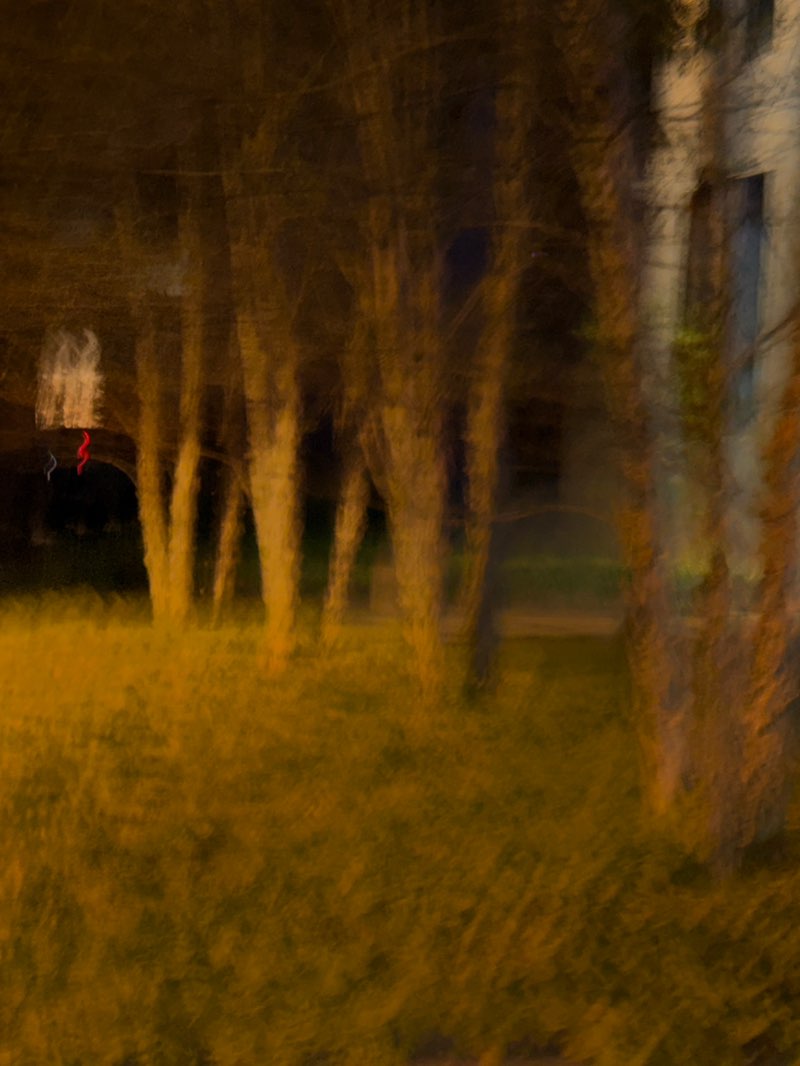 walking near me in Lafayette Park in spring