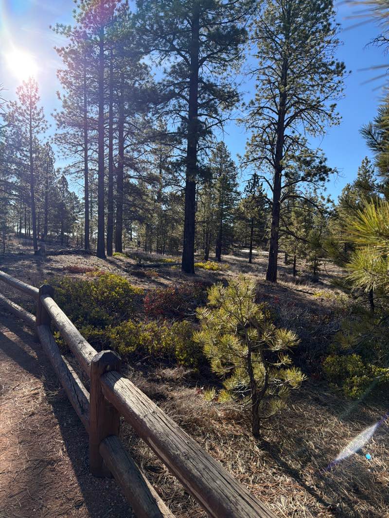 walking near me in Bryce Canyon National Park in spring