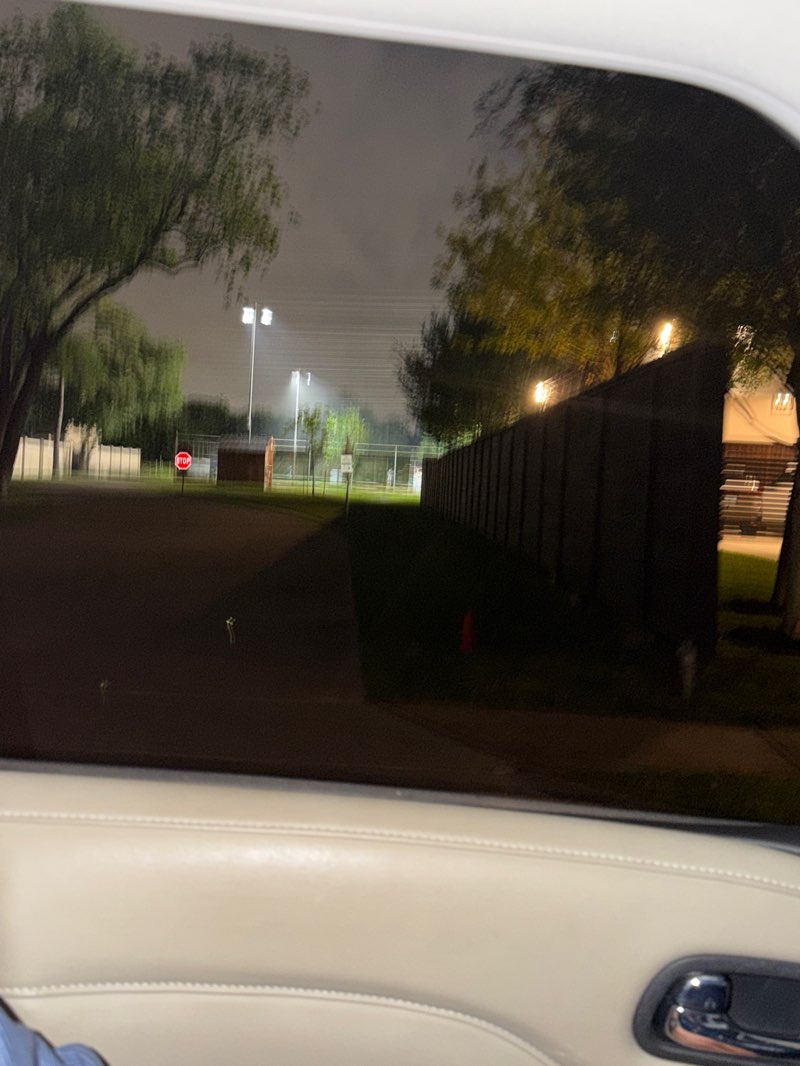 walking near me in Mulberry Park in spring