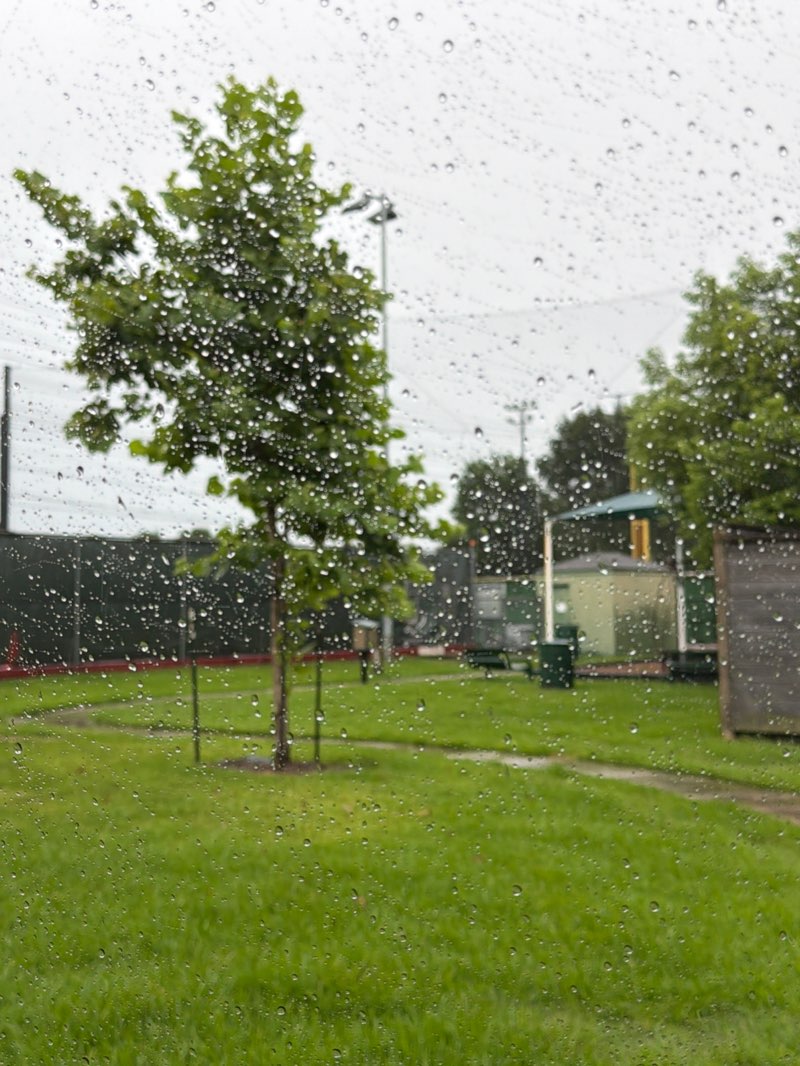 walking near me in Mulberry Park in summer