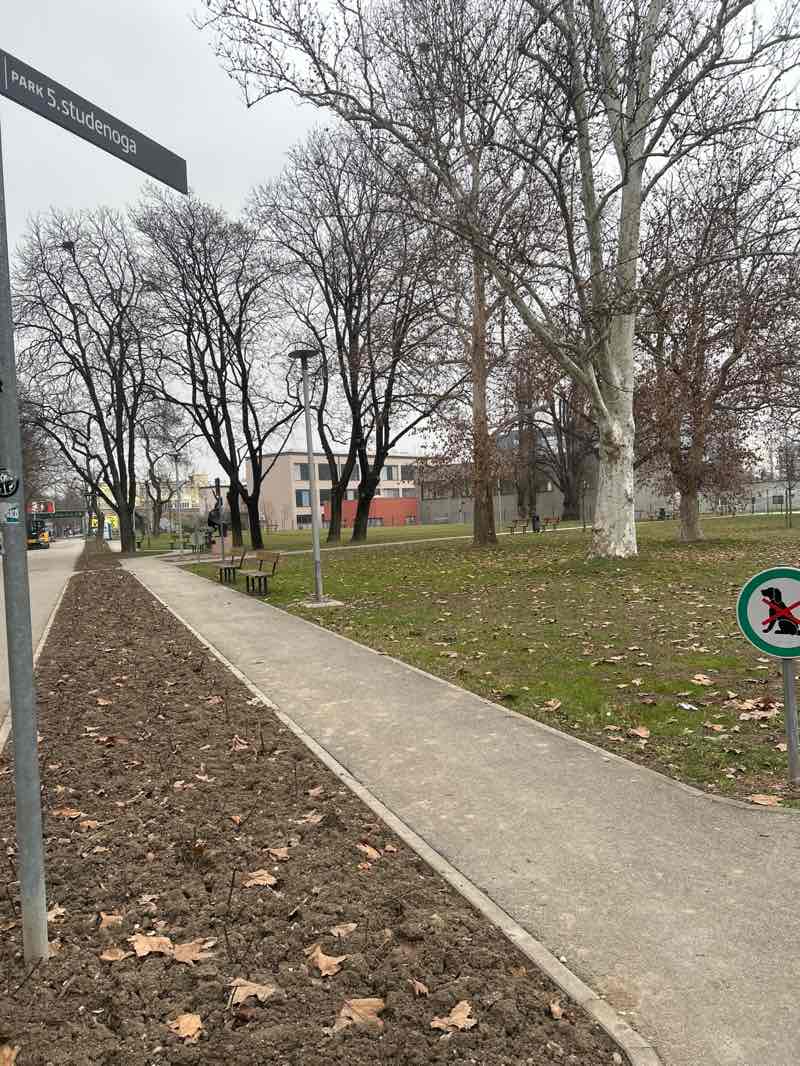 walking near me in Park 5. studenoga in winter