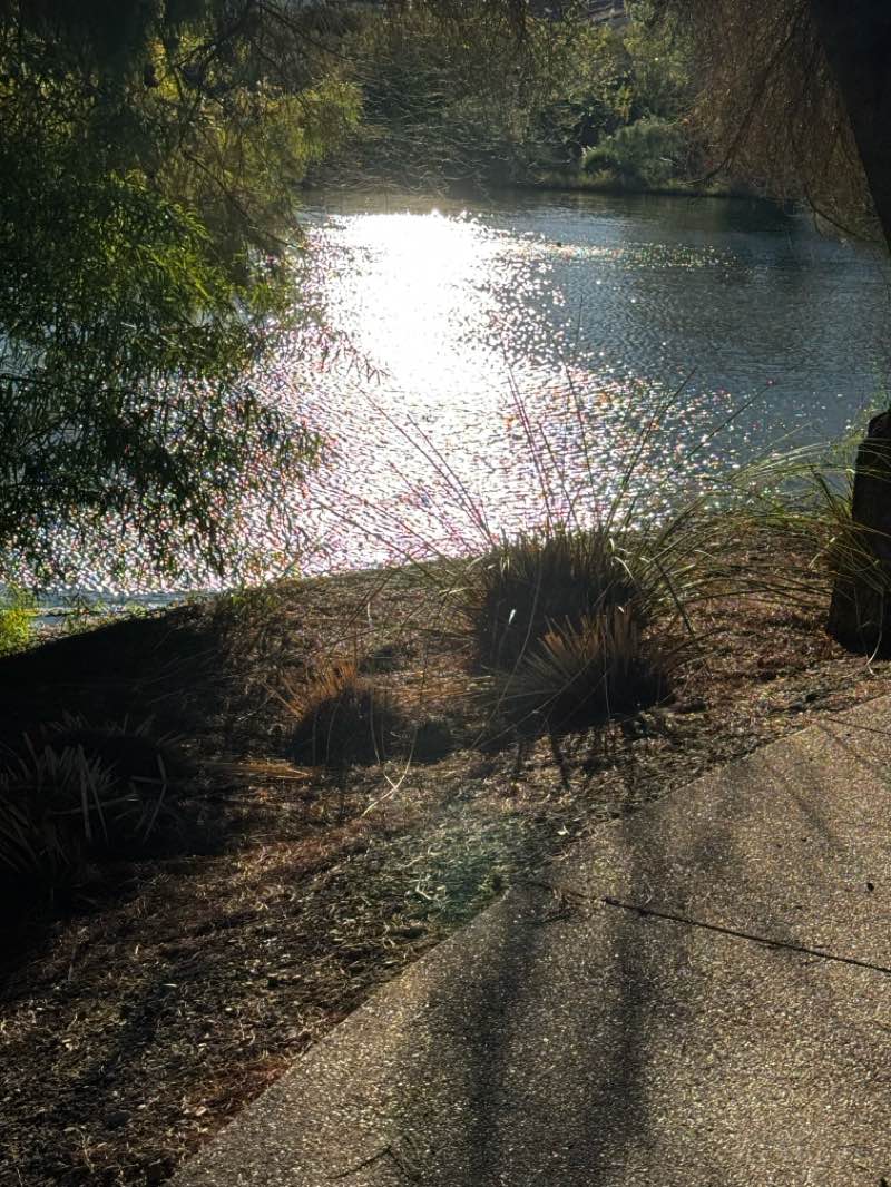 walking near me in Indian School Park in autumn