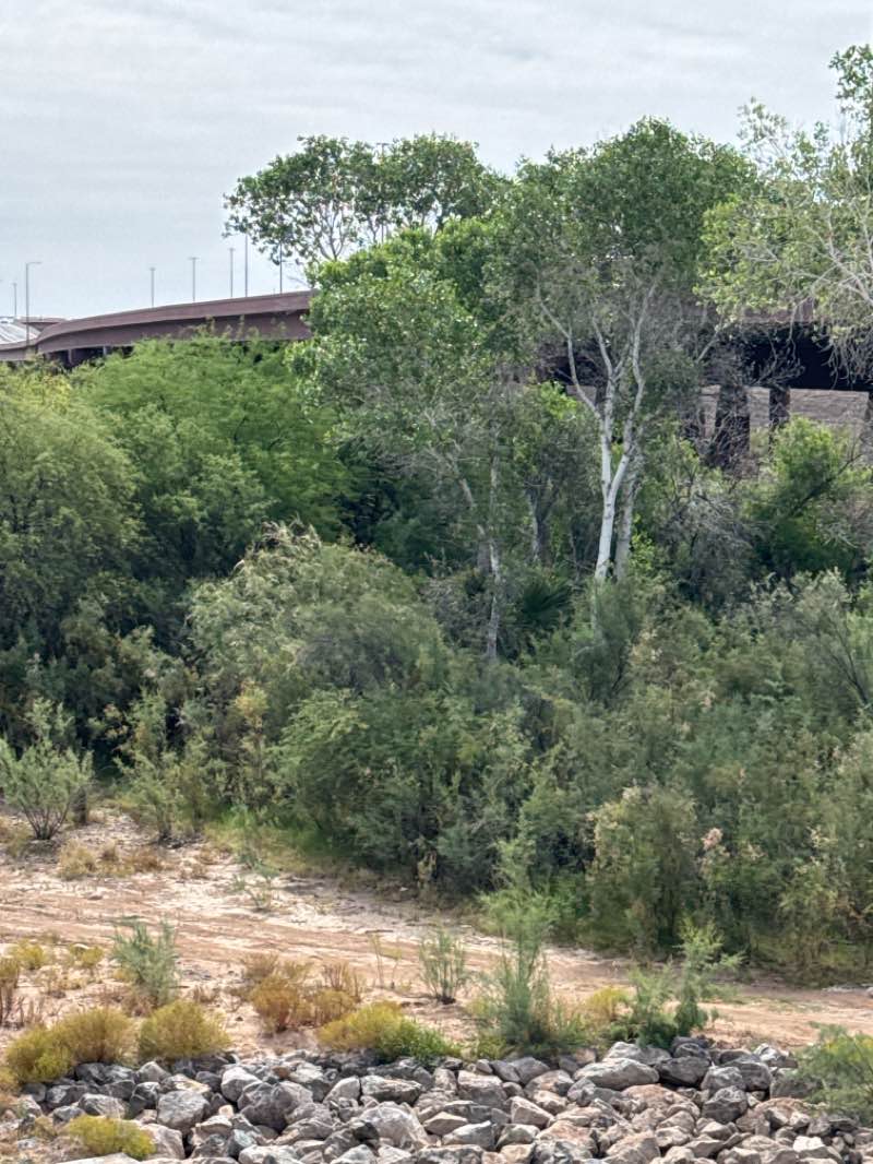 walking near me in Rio Salado Park in spring