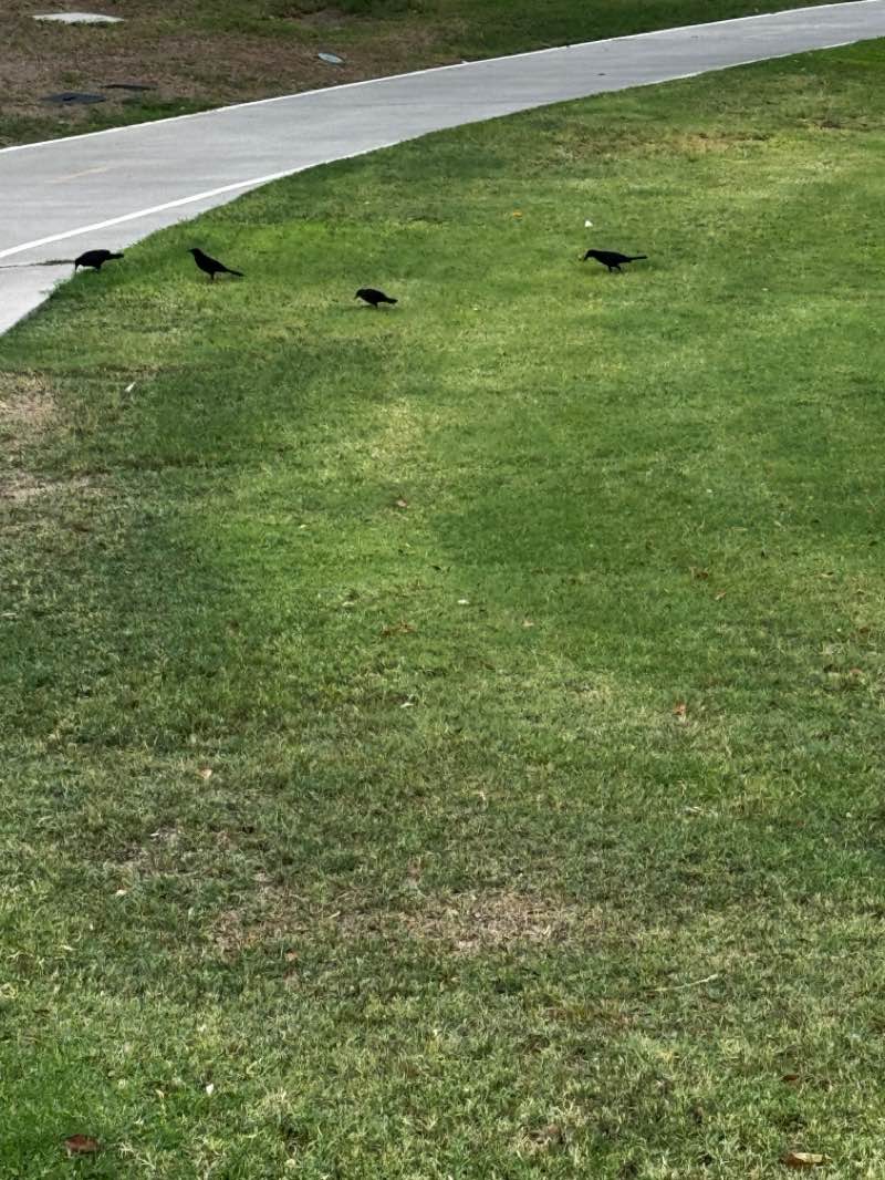 walking near me in Camelback Park in autumn