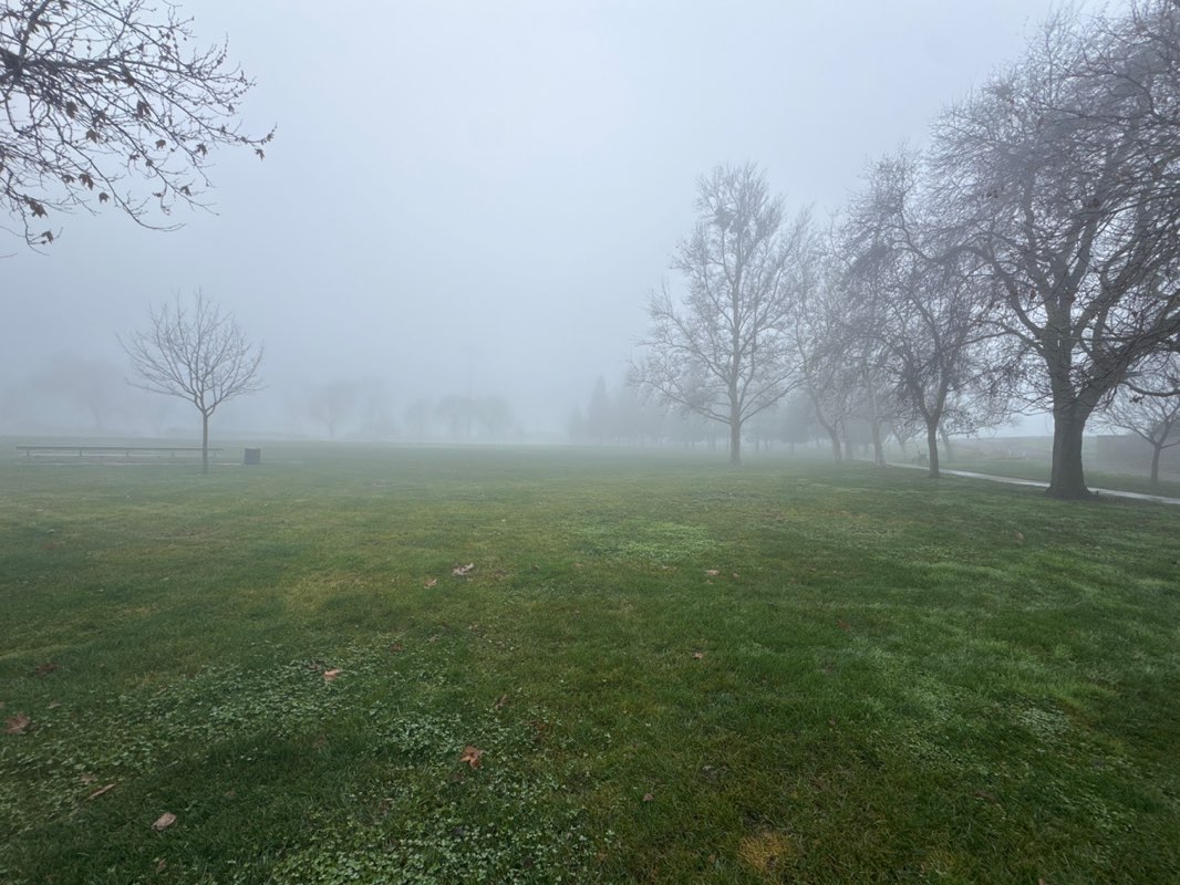 walking near me in Don Nottoli Park in winter