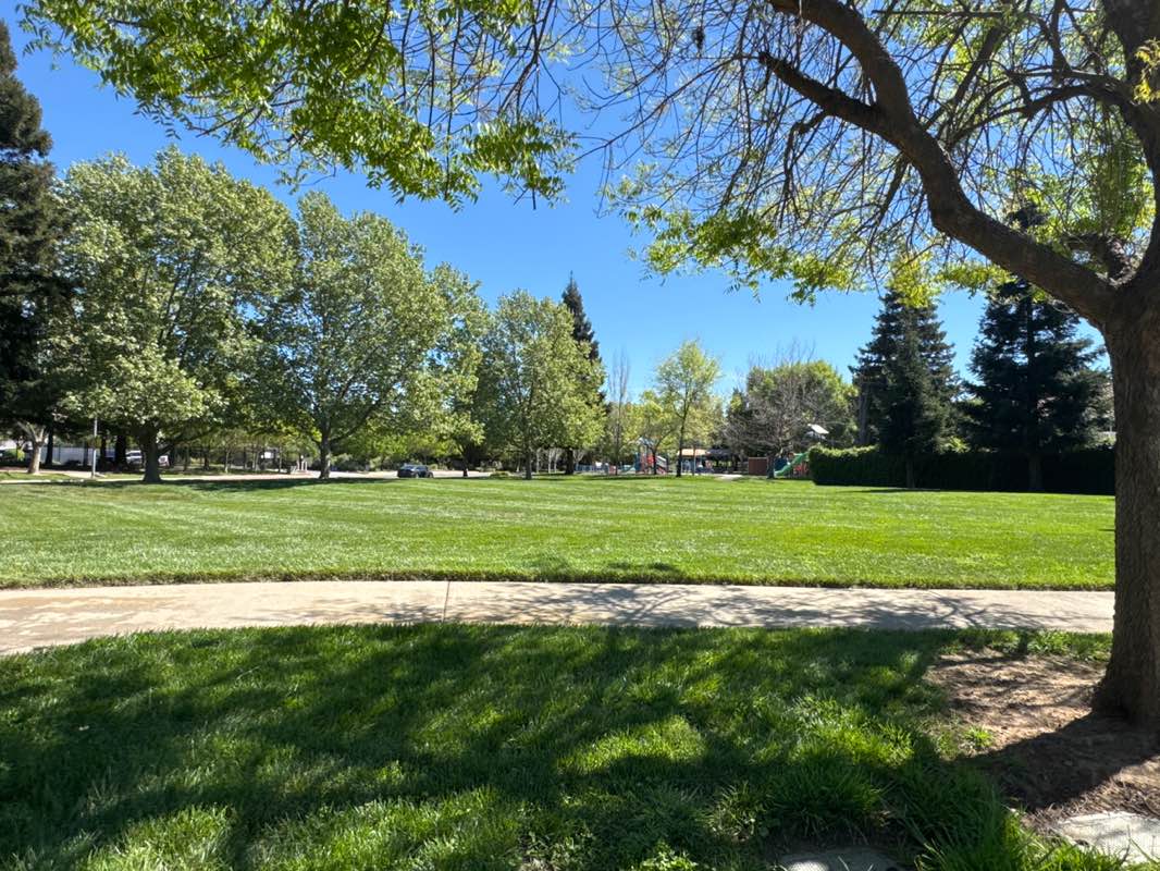 walking near me in Colton Park in spring