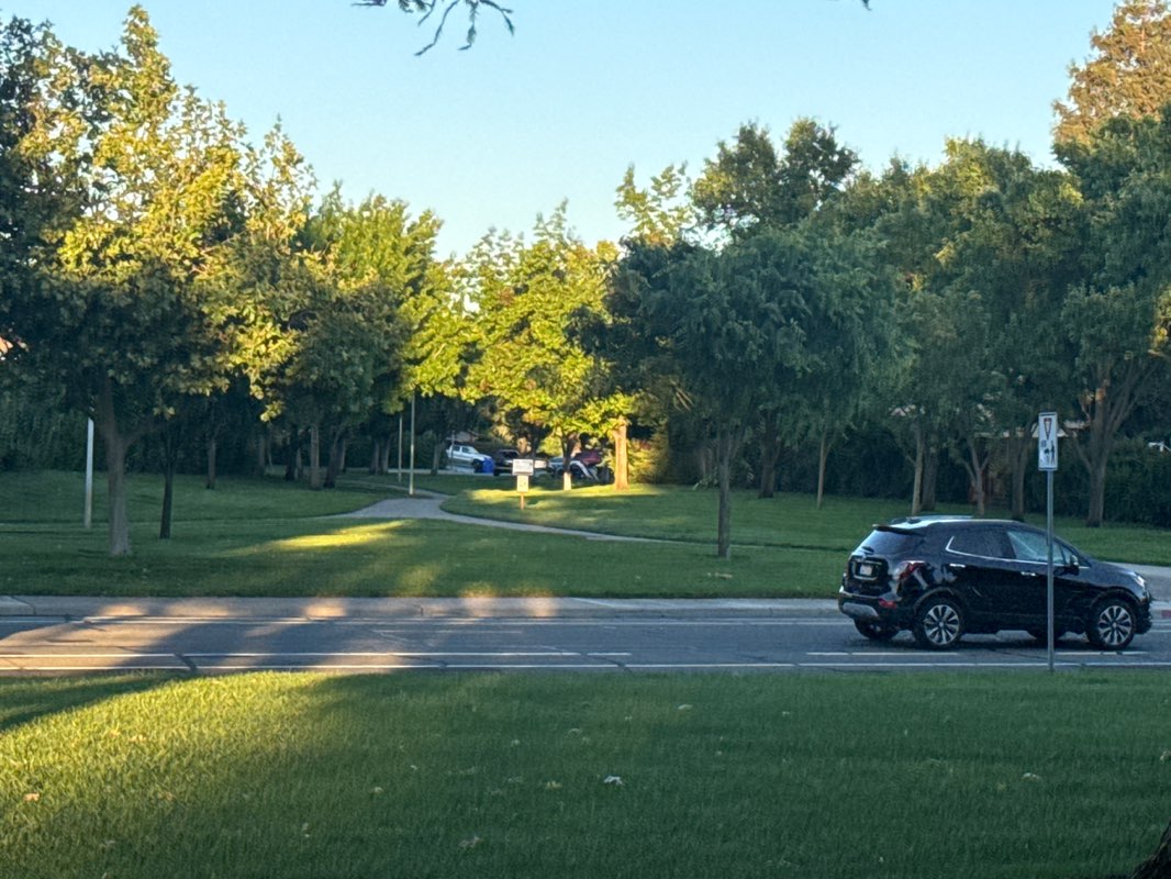 walking near me in Pedersen Park in spring