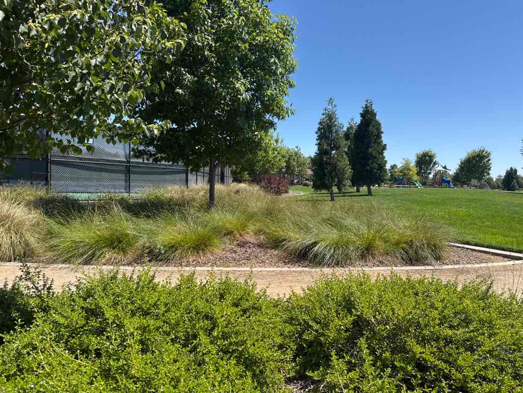 walking near me in Horseshoe Park in summer
