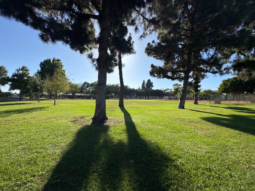 walking near me in Rossmoor Park in summer